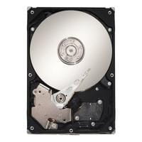 Seagate ST3300656SS