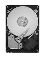 Seagate ST2000DL003