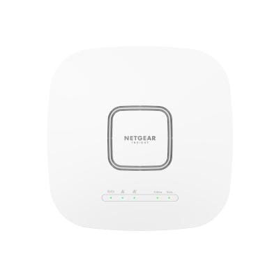 Netgear WAX628-111EUS