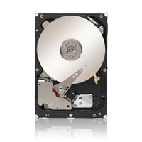 Seagate ST33000650NS