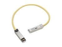 Cisco CAB-SFP-50CM