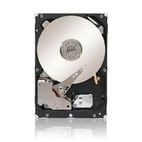 Seagate ST1000NM0023