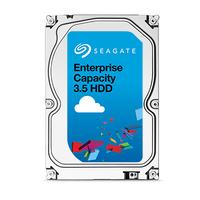 Seagate ST6000NM0134