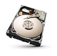 Seagate ST91000640SS