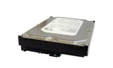 Western Digital WD1000FYPS