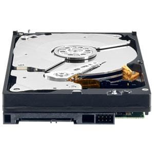 Western Digital WD7502ABYS