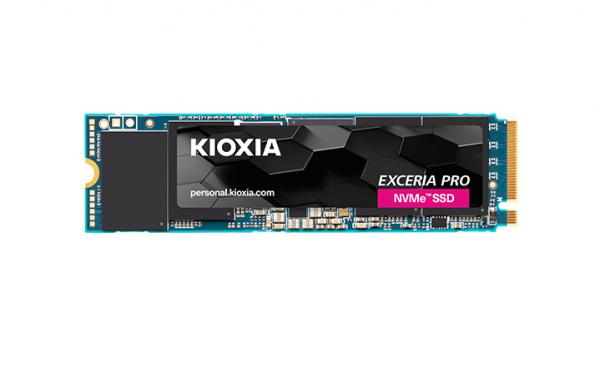 Kioxia LSE10Z002TG8