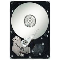 Seagate ST3250310NS