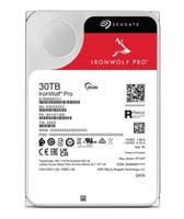 Seagate ST30000NT011