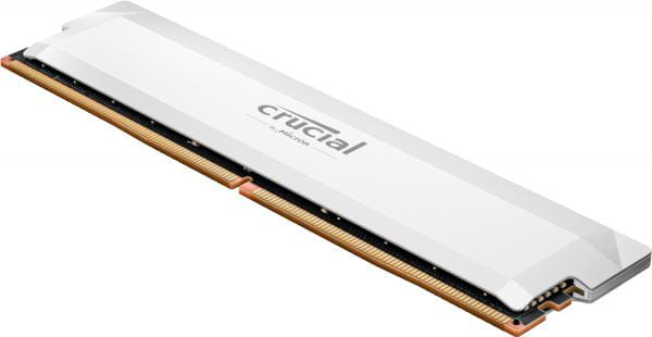 Crucial CP32G64C40U5W