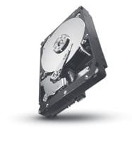 Seagate ST31000424SS