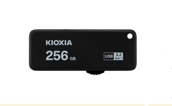 Kioxia LU365K256GG4