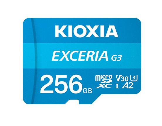 Kioxia LMEX3L256GG2